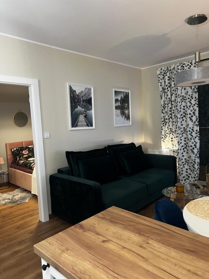 Apartament Sadowa 87 Garaz Gratis ! Elbing Exterior foto