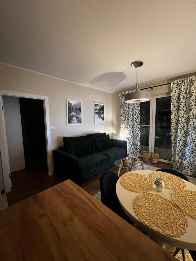 Apartament Sadowa 87 Garaz Gratis ! Elbing Exterior foto