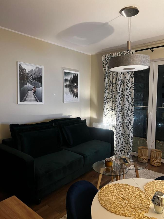 Apartament Sadowa 87 Garaz Gratis ! Elbing Exterior foto