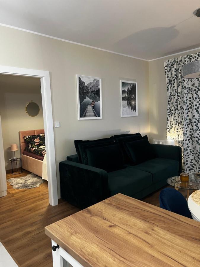Apartament Sadowa 87 Garaz Gratis ! Elbing Exterior foto